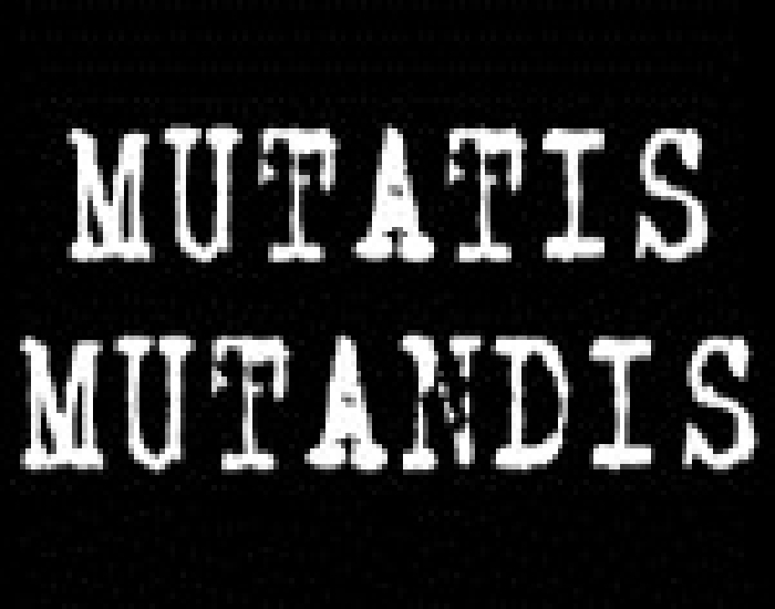 Mutatis mutandis